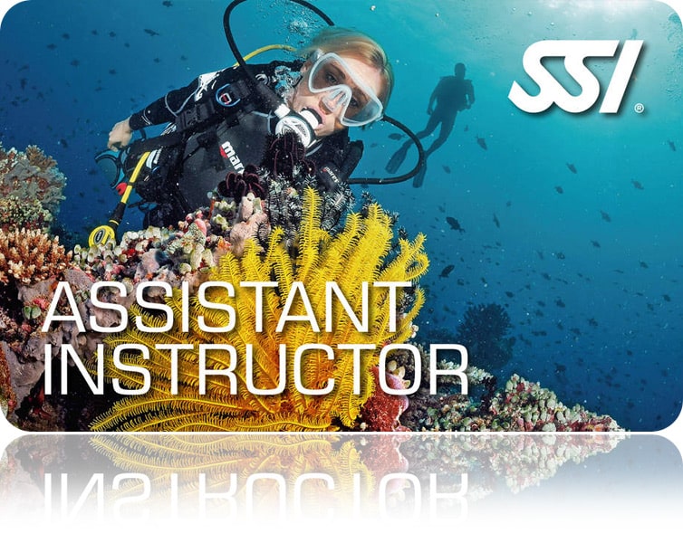 Zertifitierungskarte SSI Assistant Instructor