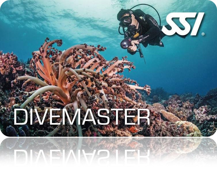 Zertifitierungskarte SSI Divemaster