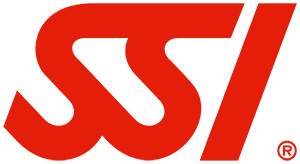 SSI