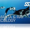 Zertifitierungskarte SSI Manta Ray Ecology