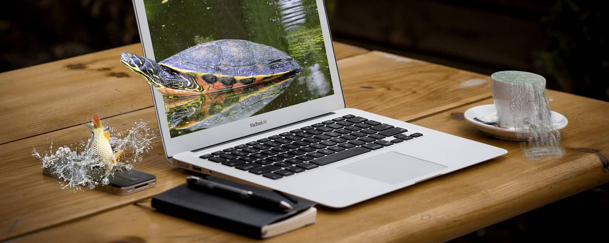 Schildkröte Notebook